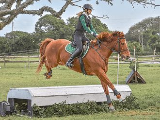 Show jumping finale