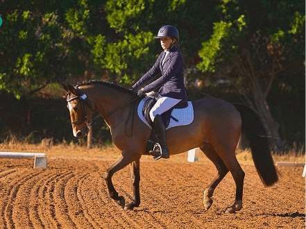 Dressage